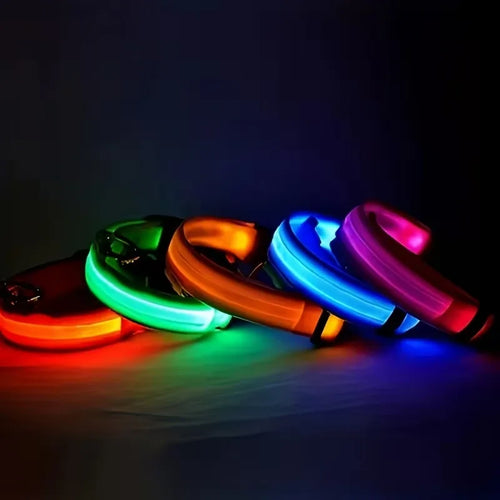 LED Safety Dog Collar